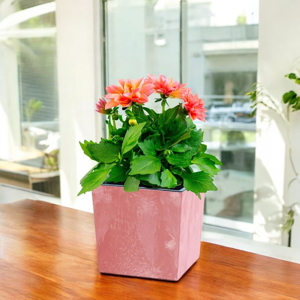 image 1 of 300mm Low Square Concrete Effect Plant Pot - 29.5x29x29 cm | Orange | Terracotta & Set of 2 | 2