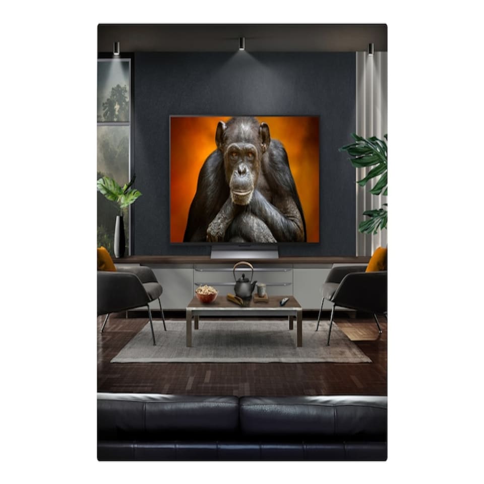image 1 of LG OLED48G56LS 48" 4K Gallery OLED Smart TV with Dolby Vision & Atmos