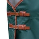 image 4 of Weatherbeeta Comfitec Tyro Plus Standard-Neck Lightweight Horse Rug - Green/Burn Orange/White - 6´ 3"