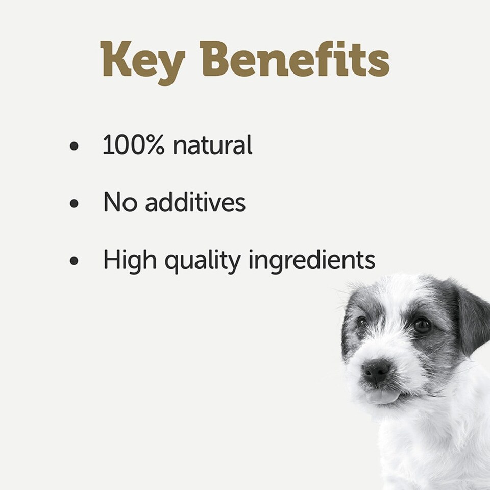 image 1 of Applaws Dog Tin Puppy Chicken Breast in Broth (8x156g) - Pack of 4