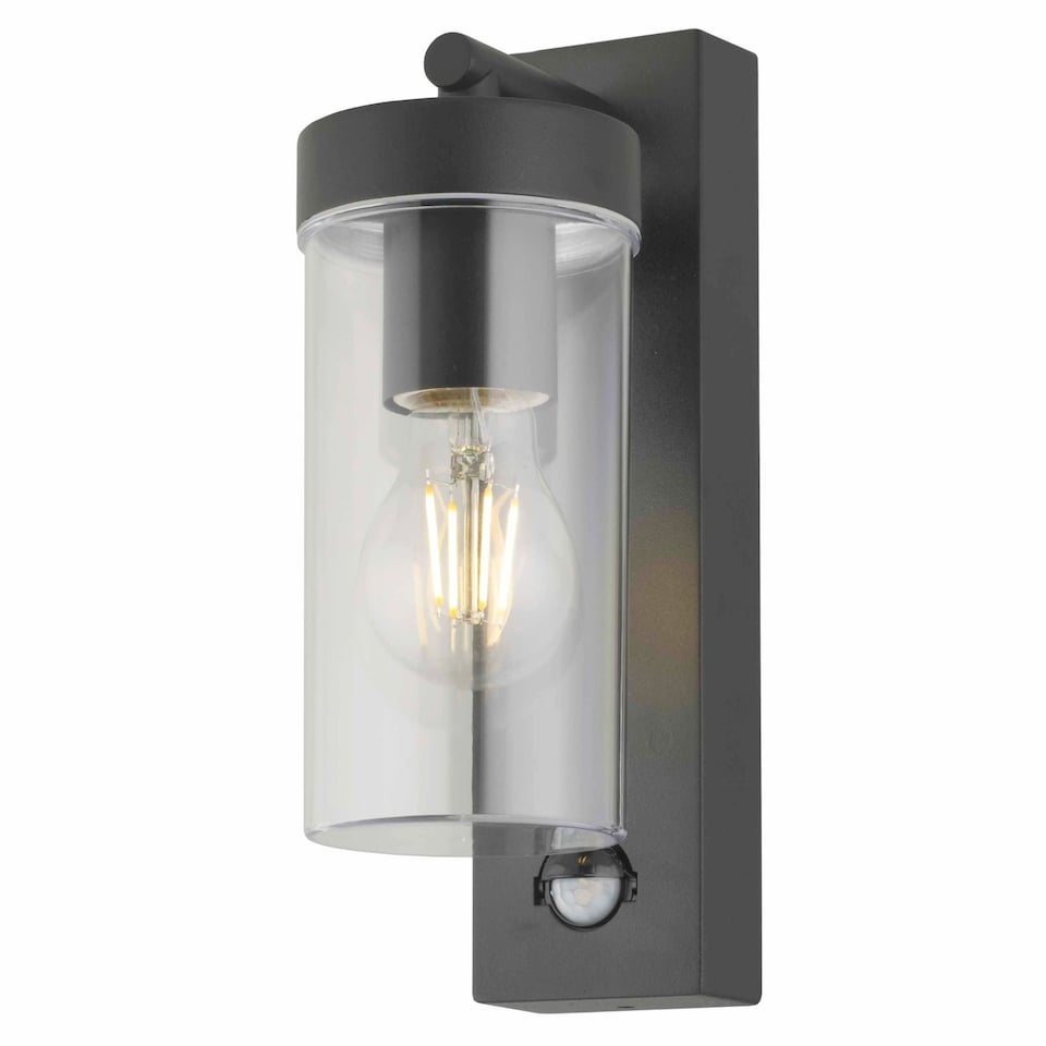 image 1 of Hadron - Black Motion Sensor Outdoor Wall Light | Black | Clear | 1