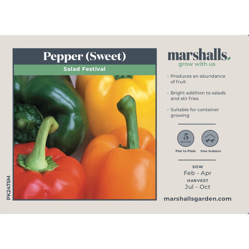 image 1 of Marshalls Garden Salad Festival F1 Pepper Seeds Mixed Red Yellow Green 15 Seeds | Green | Red, Yellow, Green