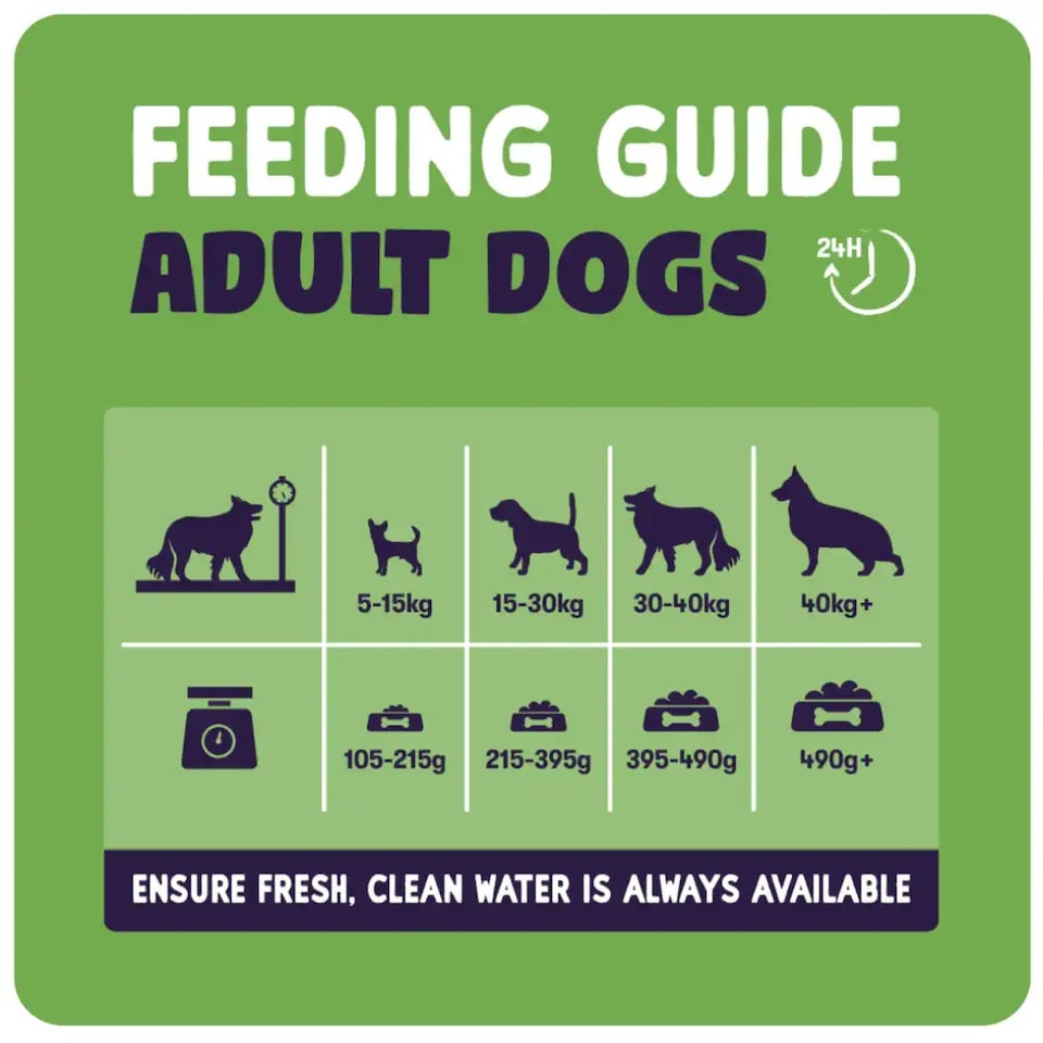 image 1 of Burgess Sensitive Adult Dog Food With Lamb And Rice - 2KG