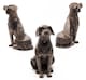 image 1 of Sitting Labrador Plant Pot Feet - Set of 3 | Grey
