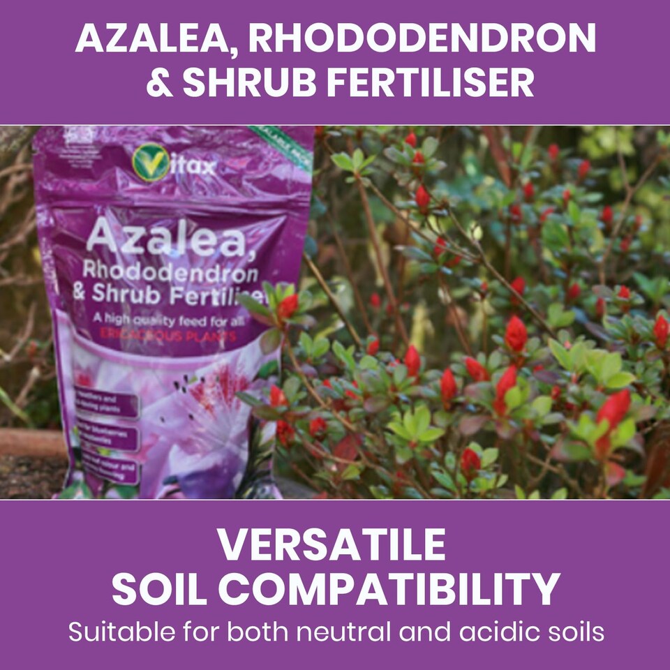 image 1 of language Vitax Azalea Rhododendron & Shrub Fertiliser 0.9kg Organic Acid-Loving Plant Feed for Healthy Growth & Blooms