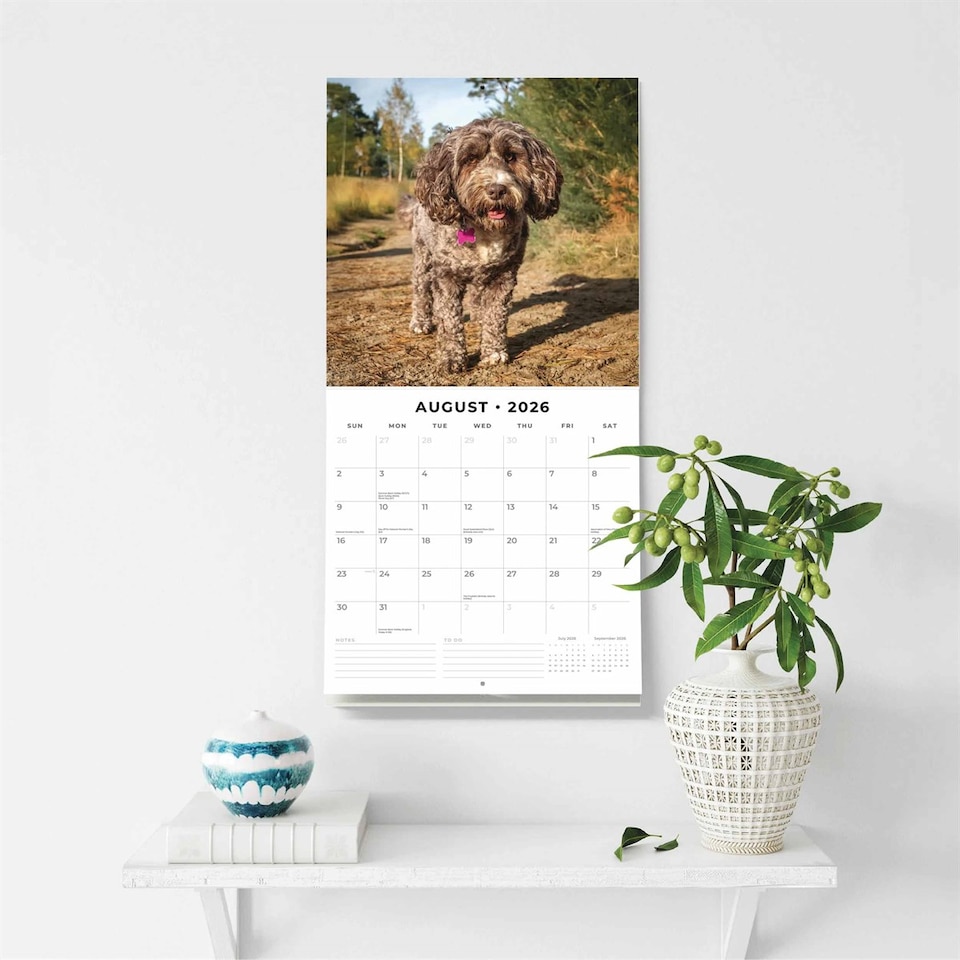 image 1 of Cockapoos Calendar 2026, Wall Calendars, Month To View, Dogs, Gift