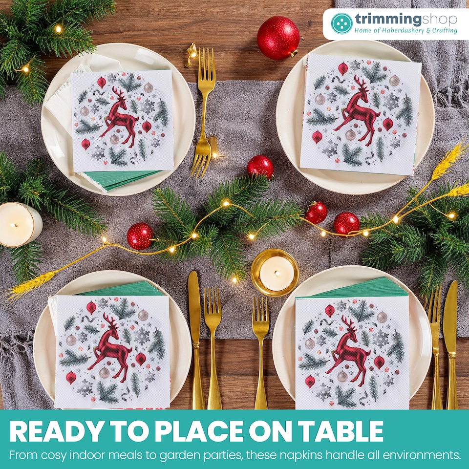 image 1 of 33 x 33cm White 2 Ply Disposable Christmas Dinner Napkins - 20 Pack