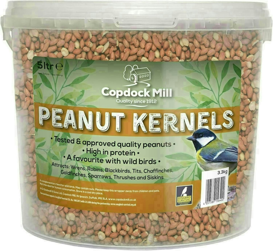 image 1 of Copdock Mill Peanuts for Wild Birds Peanut Kernels Bird Feed 5L Tub - High In Energy, Protein Rich Wild Bird Peanuts Bird Seeds for Small Garden Birds