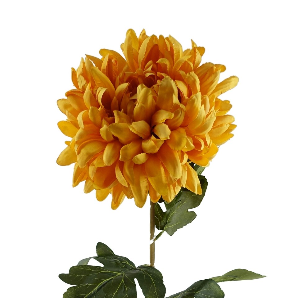 image 1 of Pack of 6 x 75cm Extra Large Reflex Chrysanthemum - Gold