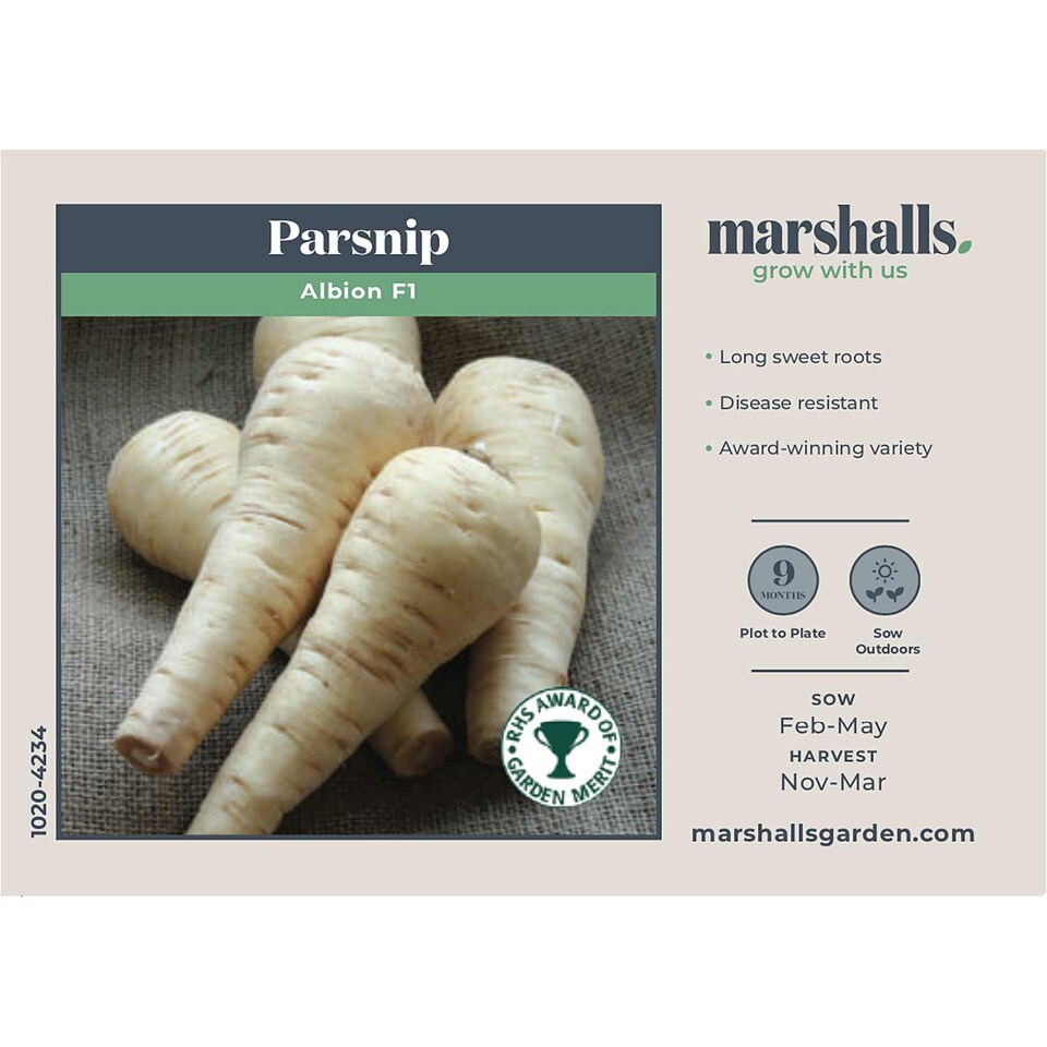 image 1 of Marshalls Garden Parsnip Seeds 'Albion' F1 - RHS AGM, 400 Seeds