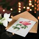 image 4 of Pierre-Joseph Redouté Art Card French Rose Vintage Botanical