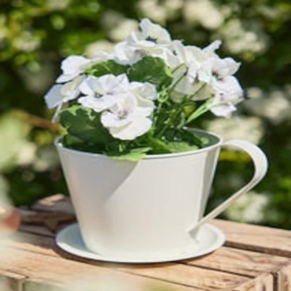 image 1 of Vintage Cream Tea Cup Planter Cream
