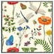 image 3 of Flowers & insects (Picture Frame) Black | XS
