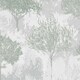 image 2 of Superfresco Easy Birch - Sage Wallpaper Green | Green