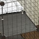 image 7 of PawHut Indoor Cat Cage with DIY Customizable Design Black | Black | Black | S