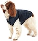 image 1 of Rosewood Joules Cherington Coat For Dogs - Medium | Multi
