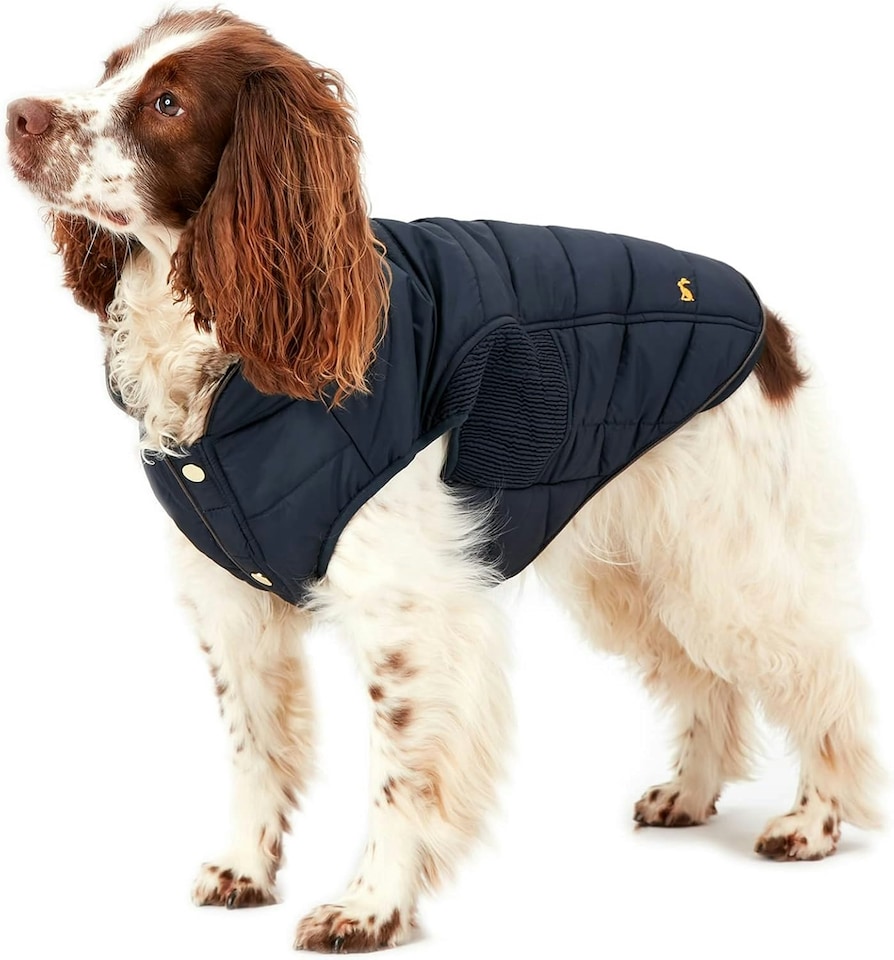 image 1 of Rosewood Joules Cherington Coat For Dogs - Medium | Multi