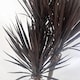 image 9 of Artificial Yukka Tree Plant Spiky UV Resistant Outdoor Tree Triple Dark Red and Brown Botanik | Brown | 5ft