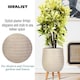 image 5 of Plaited Style Beige Planter with Legs, Round Indoor Plant Pot Stand for Indoor Plants by Idealist Lite D30 H43 cm, 19L