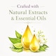 image 5 of Hassett Green London - Lemongrass & Ginger - Reed Diffuser Duo Set - 2 x 125ml - Reduced Packaging