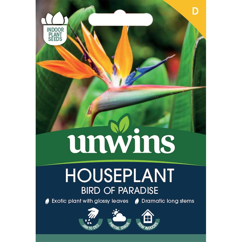 image 1 of Houseplant Bird of Paradise (Strelitzia Reginae) | Multi