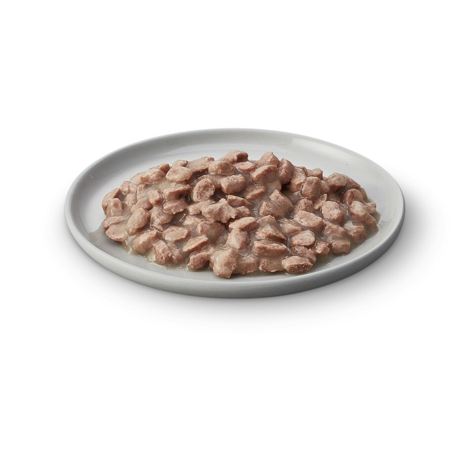 image 1 of James Wellbeloved Grain Free Kitten Wet Cat Food Pouches Turkey in Gravy 48 x 85g