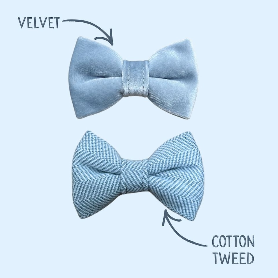 image 1 of Tails of Glory Blue Tweed and Velvet Bow Set