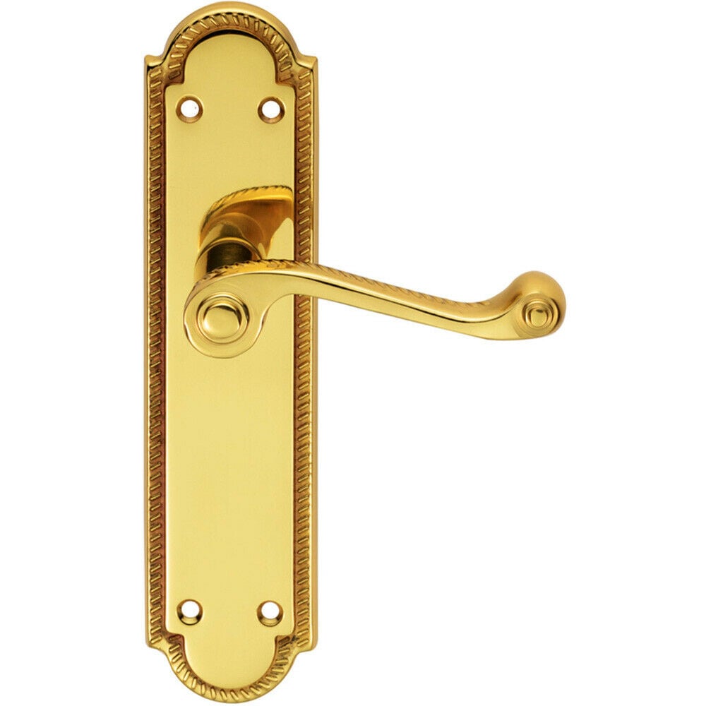 Loops PAIR Reeded Scroll Lever on Shaped Latch Backplate 205 x 49mm Polished Brass in Metallics