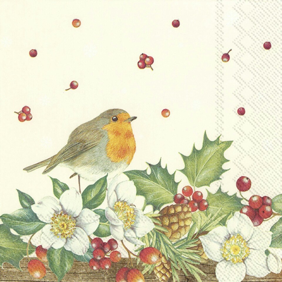 IHR Ideal Home Range Luncheon Napkin - Welcome Red Robin N/A