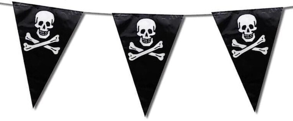 image 1 of Pirate Pennants Party Bunting 6m with 15 Flags