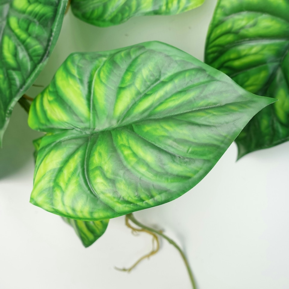 image 1 of 120cm Artificial Hanging Trailing Plant Alocasia Dragon Scale Green