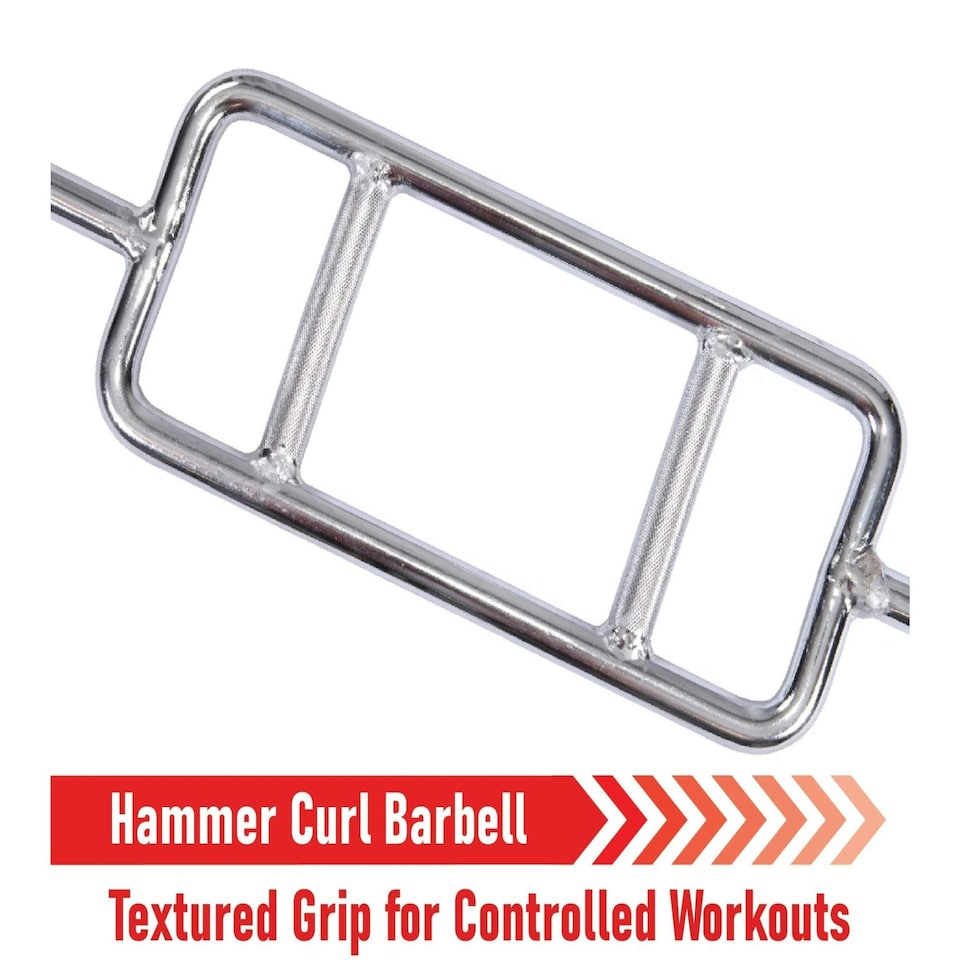 image 1 of Body Revolution Hammer Curl Bar 1" Standard Silver