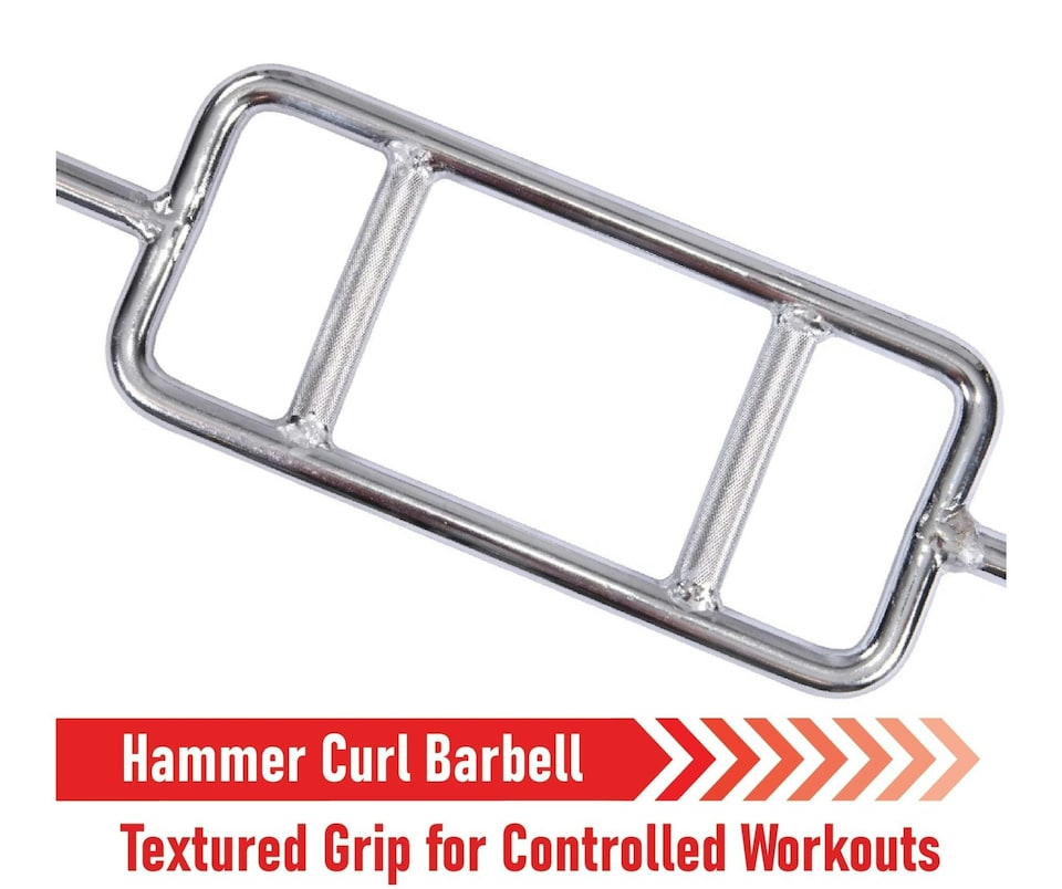 image 1 of Body Revolution Hammer Curl Bar 1" Standard | Silver