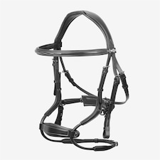LeMieux Kudos Clear Arc Bridle Silver | Full