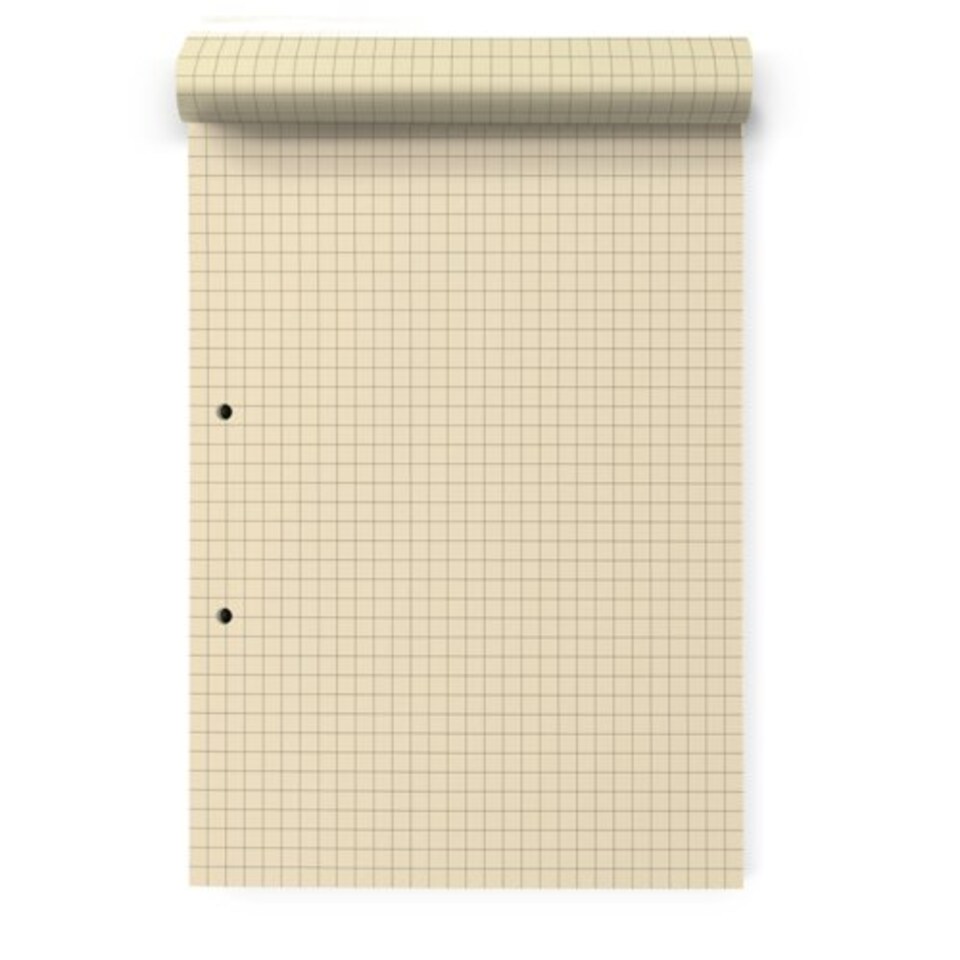 image 1 of Rhino 100 Page 7mm Squared Paper Refill Pad Cream A4 36 Pack
