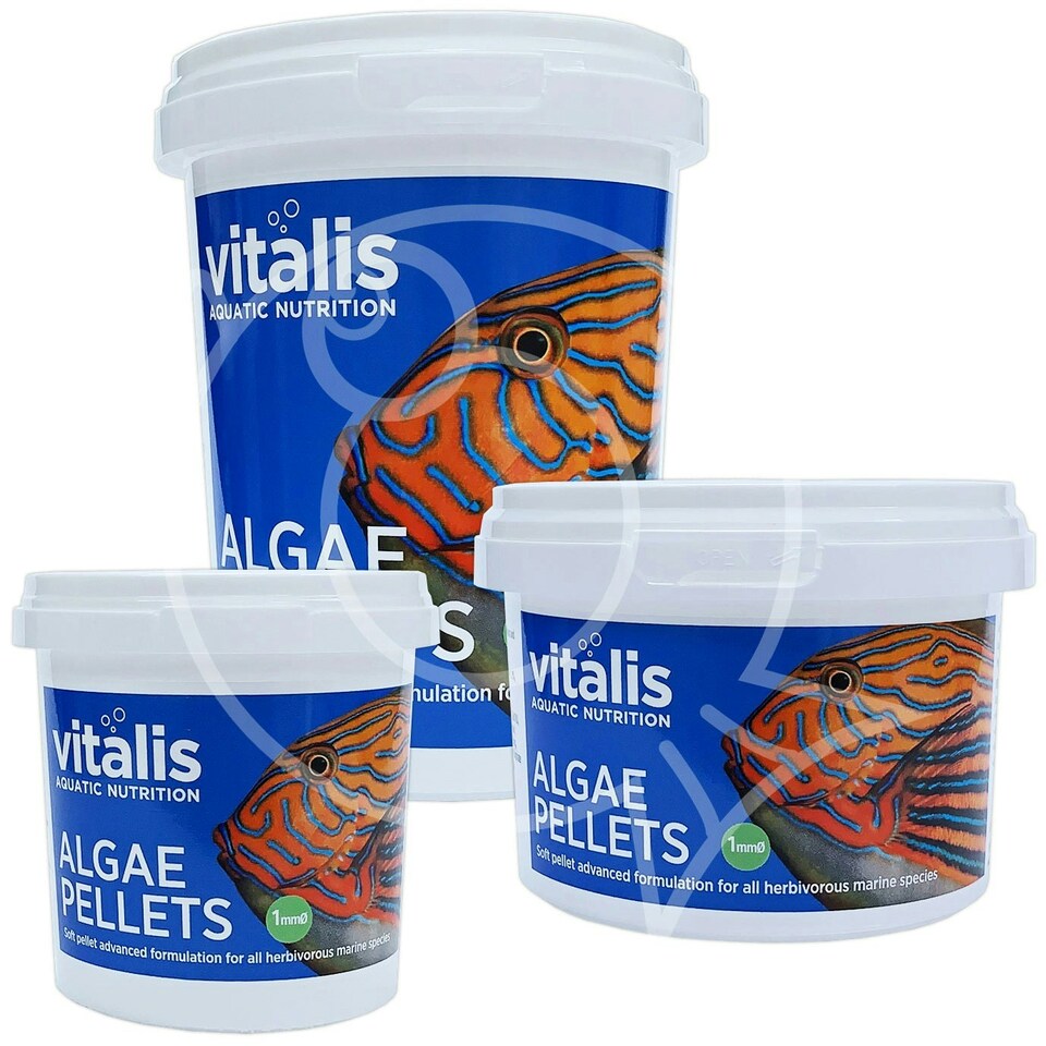 image 1 of Vitalis Algae Pellets XS White