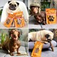 image 6 of Pet Munchies Chicken with Blueberry Sticks Dog Treats, Healthy Grain Free Dog Chews with Natural Real Meat, Low in Fat and High in Protein 80g (Pack of 8)