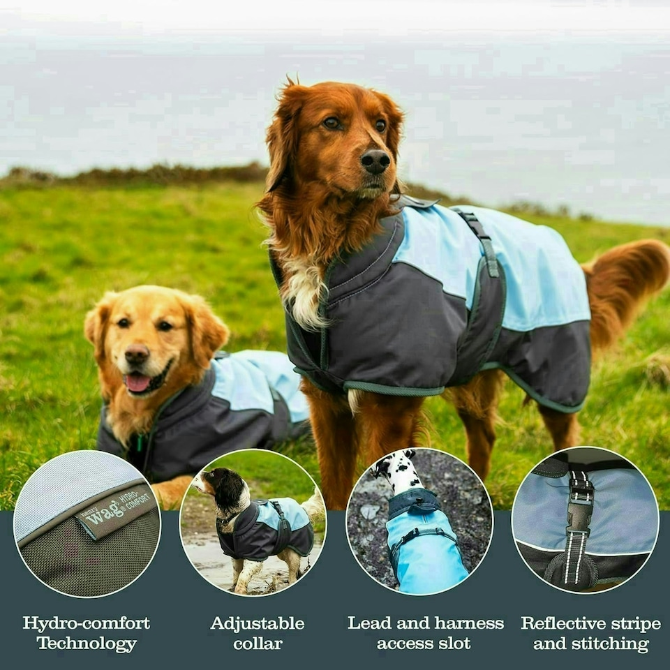 image 1 of Henry Wag Waterproof Dog Coat With Adjustable Collar (Medium 45cm)