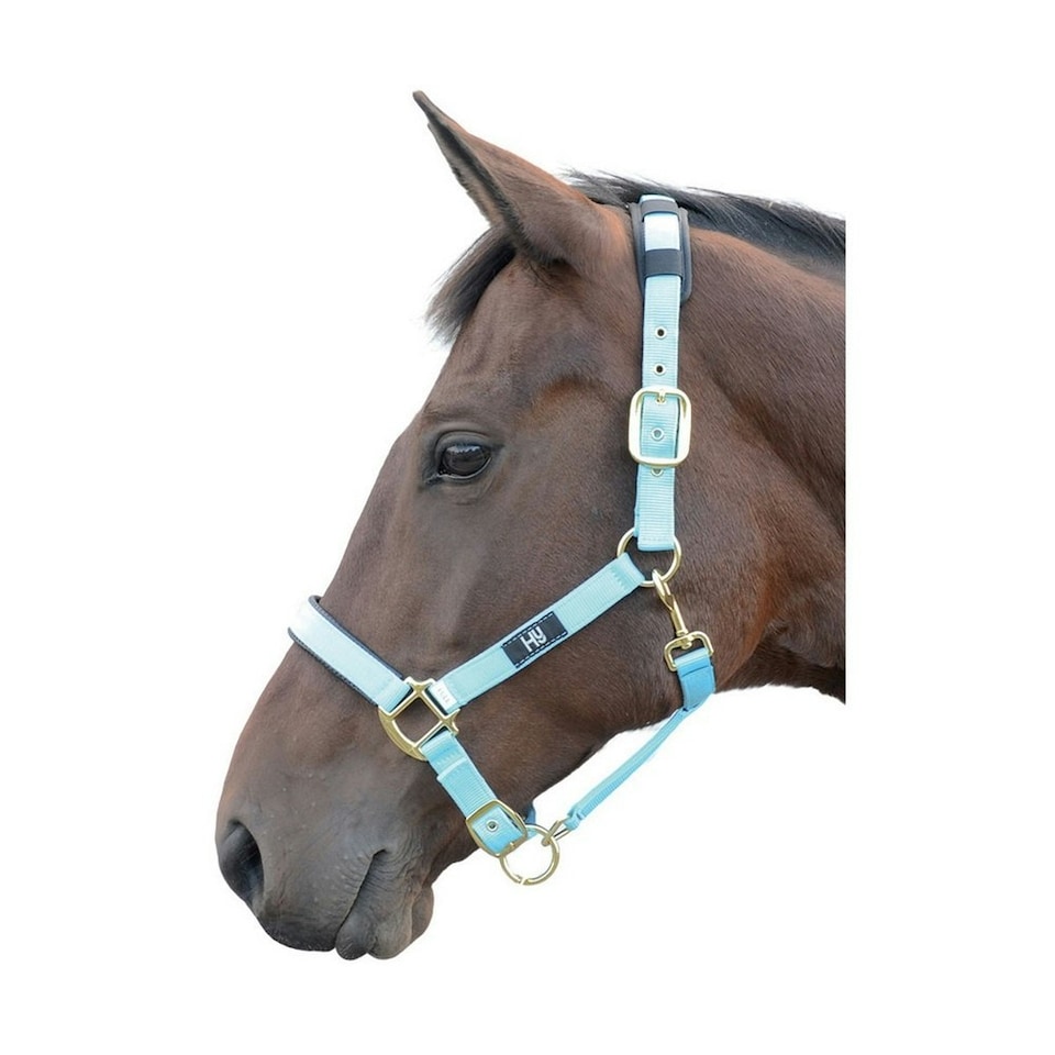 Hy Deluxe Padded Head Collar - Bright Blue - Pony