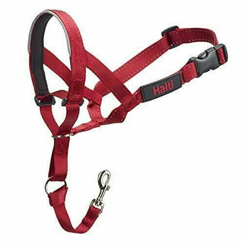 image 1 of Halti Dog Head Collar - Red - 4