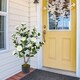 image 7 of COSTWAY 90CM Artificial Camellia Tree Faux Flower Plant White | One Size