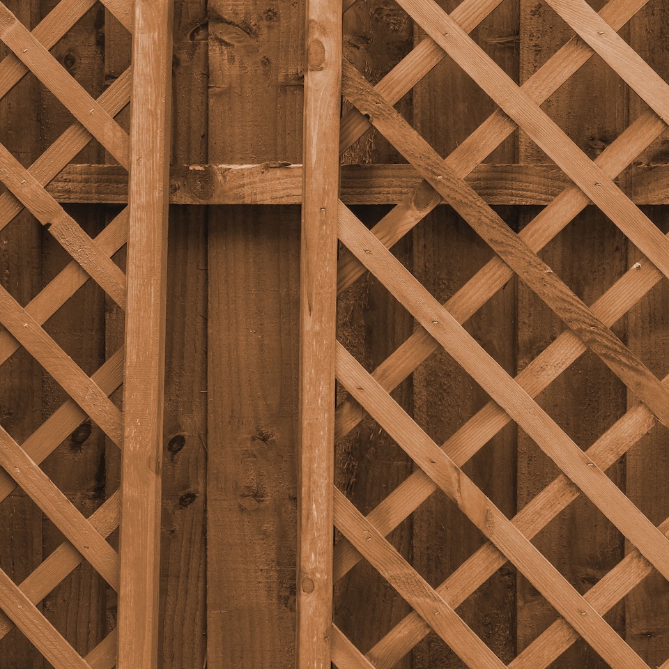 image 1 of Roxil Wood Stain Preserver (1L Autumn Gold) - 5 Year Protection for Indoor & Outdoor Decking, Fence, Shed, Furniture.5 m Coverage