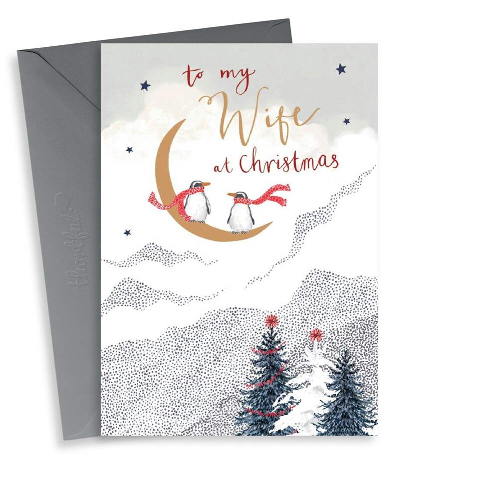 image 1 of Cute Christmas Card - For Wife - Penguin Couple