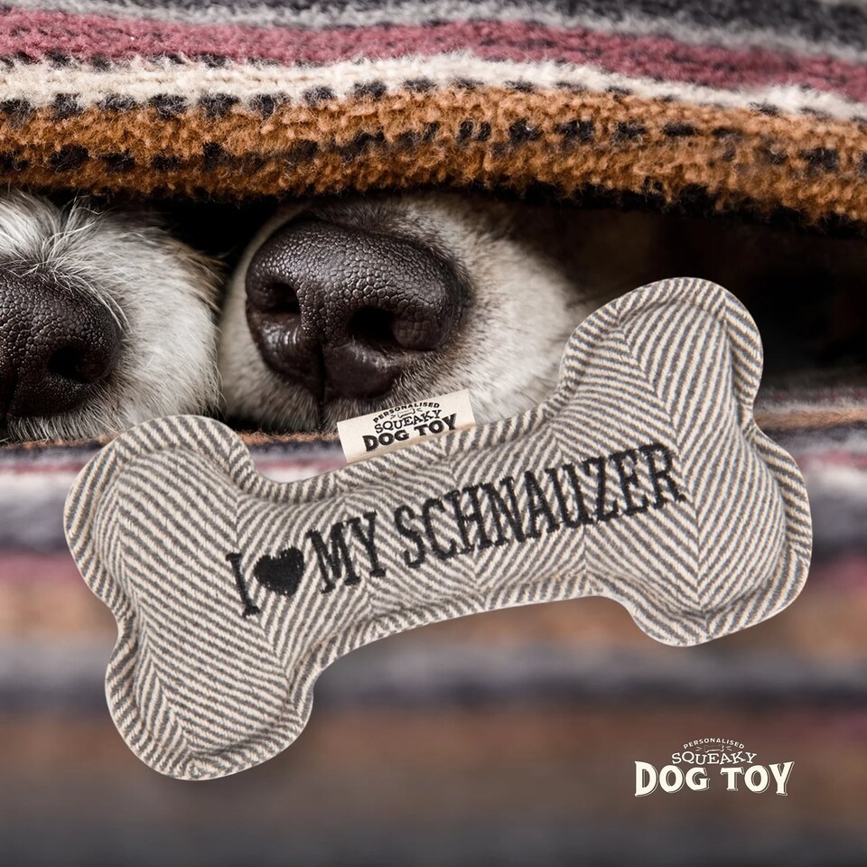 image 1 of History & Heraldry Pre-Personalised Squeaky Bone Dog Toy - Schnauzer