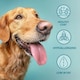 image 3 of Burns Original Chicken & Brown Rice Complete Adult & Senior Dry Dog Food - 6 kg | Multi | 6kg | 1
