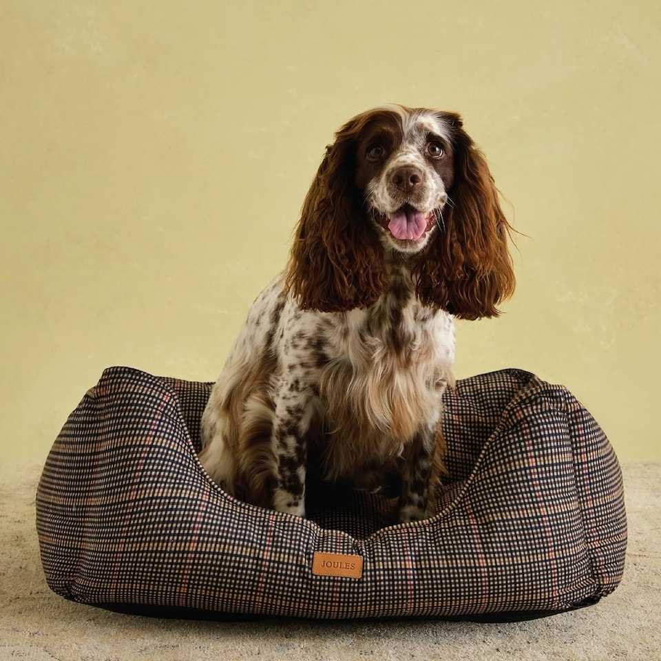 image 1 of Rosewood Joules Hensen Check Box Dog Bed | Multi | Patterned | 1