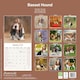 image 2 of Basset Hound 2026 Calendar | Square Wall Calendar | Dog Breed Gift | Plastic Free Packaging | by Avonside Publishing