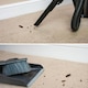 image 6 of NOPE Flea Smoke Bomb for The Home (14g x 2 - 6x8m) Coverage For Bed Bug, Fly, Mosquito, Cockroach & Other insects. For Indoor use