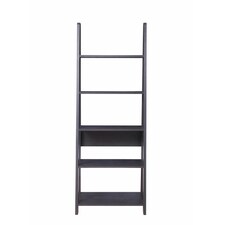 Ladder Bookcase