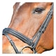 image 2 of Collegiate Comfitec Leather Horse Bridle | Black | Black | Warmblood | 1